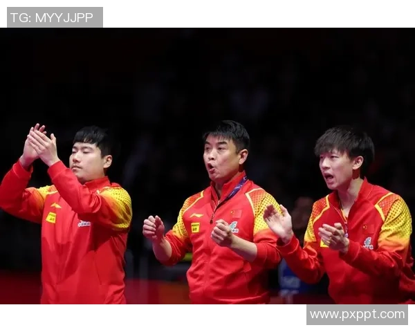 乒乓球焦点：南京乒乓球队的实力探讨