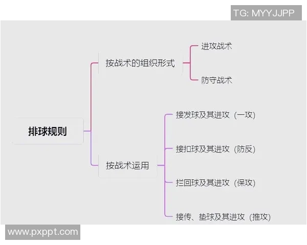 成都排球队战术深度解析与对比研究探讨